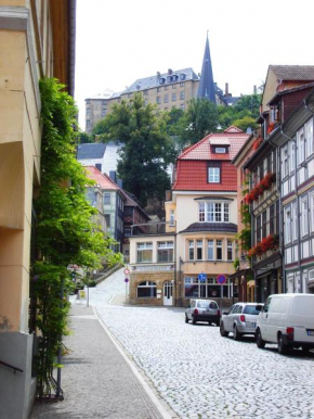 Große Wohnung mit Terrasse im Altstadtzentrum - Ferienwohnung Chiplakoff